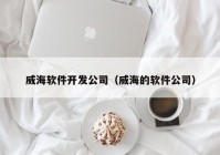 威海软件开发公司（威海的软件公司）