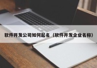 软件开发公司如何起名（软件开发企业名称）