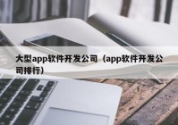 大型app软件开发公司（app软件开发公司排行）